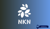 Why Is NKN Price Pumping Right Now? Is It Too Late To Buy?