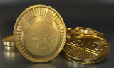 Could ChowWow Surpass Shiba Inu by 2030?