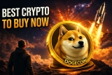 Best Meme Coin to Buy: First PEPE ETF Filed, Dogecoin Whales Return, and One Presale Targets 100x