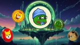 Which Meme Coin Will Reach $1 in 2025: BONK, SHIB, PEPE, or DOGE? One Newcomer May Surprise Everyone