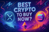 Best Crypto To Buy Now: Toncoin, Pi Network, and Remittix Set For Big Months Ahead