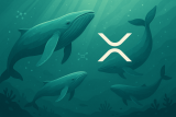XRP Price Today Trades Near $1.52 as Remittix’s Upgraded Dashboard Tracks Its PayFi Countdown