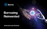The Future of Investing: Dogecoin’s Pop Culture Charm vs Borroe Finance’s Strategic Market Moves