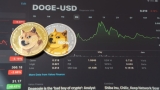A Dogecoin Breakout to $1 Incoming? Ripple Rebounds While Digitap Gains Mass Appeal Amid a 114% Surge