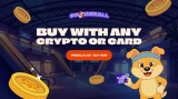 Best New Crypto Presale To Join: DOGEBALL Blockchain and $DOGEBALL Token Explained
