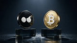 Top Crypto To Buy Now: Moonberg $MBX Passes $300,000 As Over 84% Of Stage 2 Sells Out