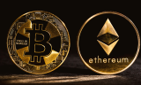 The debate continues: Bitcoin, Ether or the others?