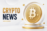 Crypto News Today: BTC Surged Past $81K on CLARITY Act Momentum While One Presale Quietly Crossed $10 Million
