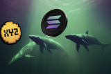 Solana vs XYZVerse (XYZ): Crypto Whales Choose 25,000% Gains in September Market Explosion!