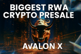 Can Pepe Coin Repeat Its Magic? Analysts Predict Avalon X To Be The Next Big RWA Coin