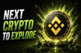 Next Crypto to Explode: Binance Listing Puts Pepeto at 100x as BNB and DOGE Fight for Ground