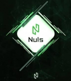Nuls (NULS) Coin Review – Detailed Guide for Beginners