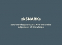 Zk-SNARKs explained – introduction to privacy protocol