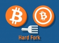 What Are the Differences Between Hard Forks and Altcoins?