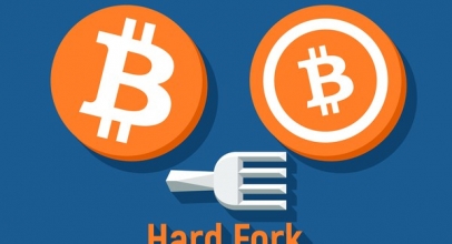 What Are the Differences Between Hard Forks and Altcoins?