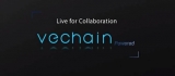 It is hard to envision VeChain (VET) project going anywhere but up