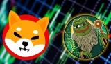 Can Pepeto Make Millionaires Like Shiba In The Coming Crypto Bull Cycle?