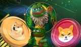 Best Crypto to Buy Now: Pepeto Overtakes Bonk Heading Into 2025 Bull Run