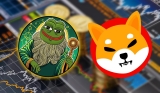 Pepeto (PEPETO) The Next SHIBA INU Is Set To Turn Your $10,000 Investment Into Millions, Here’s How
