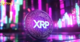 Shocking! Bow Miner cloud mining income revealed: XRP earns $20,000 a day, ETH earns $35,000 a day, and BTC is even more amazing!
