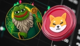 Shiba Inu Price Forecast and Why Pepeto Is the Top Crypto to Buy Now