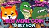 BTC above 100k and a new bull run starting, best meme coin to buy now for x100 gains, Pepe, Shiba, or Pepeto?
