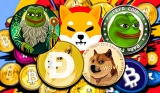 DOGE and PEPE prices Rebound, But PEPETO Could Be the Best Crypto to Buy Now