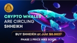 SHHEIKH Token Explodes in Just 2 Weeks — $3M+ Raised and Climbing