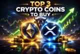 3 Top Crypto Coins to Buy Aggressively Right Now