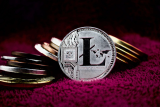 Kelexo (KLXO) Dominance: Litecoin (LTC) and Avalanche (AVAX) Raise Expectations for 2024, Shaking Up the Crypto Narratives