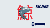 Beyond Memes: Kujira’s (KUJI) Price Growth Holds Memecoin-Like Potential