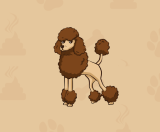 Watch Out For Poodl Inu (POODL), The Next Big Meme Coin In The Market