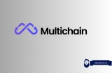 Multichain’s Cross-Chain Transactions Resume and The MULTI Token Skyrockets
