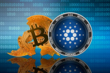 Eucalyptus Absorbs Bitcoin (BTC) and Cardano (ADA) Enthusiasts as they Branch Out to Koala Coin (KLC)