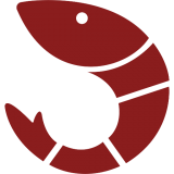 Shrimpy.io Review – The Automated Crypto Trading Bot & Portfolio Rebalancer