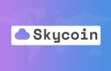 John McAfee found a new shitcoin to pump: Skycoin (SKY). This time he also added the visual dimension to it