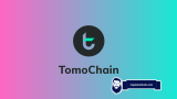 TomoChain (TOMO) Skyrockets in Price – What Led to the Surge and What to Expect Next