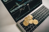 Finding Top ICOs Early Can Make You a Whale