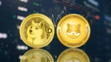 Shiba Inu (SHIB) and Dogecoin (DOGE) Accumulation Mimic 2021 Bull Run, But Why Is RCOF Poised for a Bigger Rally?