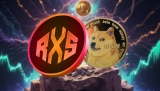 Dogecoin Will Make You 33x Richer by Mid-2025, One Cheaper DOGE Rival Aims for the Same in Just Weeks: It’s Not Shiba Inu (SHIB)