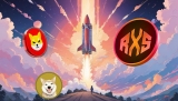 Shiba Inu (SHIB) and Neiro (NEIRO) Could Soar 2x in the Coming 5 Months, This Other Penny Coin Could Skyrocket 20x