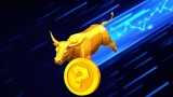 Bull Market Alert: These Top 5 Altcoin Gems Are at 90% Discounts