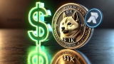 $1k in RCO Finance Could Deliver 40x More ROI Than Dogecoin or Cardano in 2025, Here’s Why