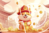 Dogecoin’s Successor? This New Memecoin Is Catching Fire!