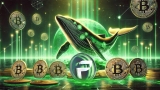 Dogecoin Whales Quietly Accumulate a Rival RWA Altcoin Set to Match DOGE’s 2021 Gains with a 22,403% Growth