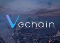 Best VeChain Wallets 2020: Top solutions for storing your VET