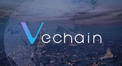 Best VeChain Wallets 2019: Top solutions for storing your VET